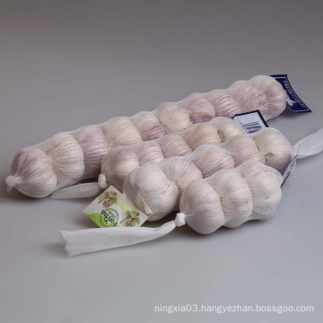 Export quality 4.5cm 5.0cm+,5.5cm+ .6.0cm+ Fresh Normal White Garlic 15KG/20KG/Mesh Bag